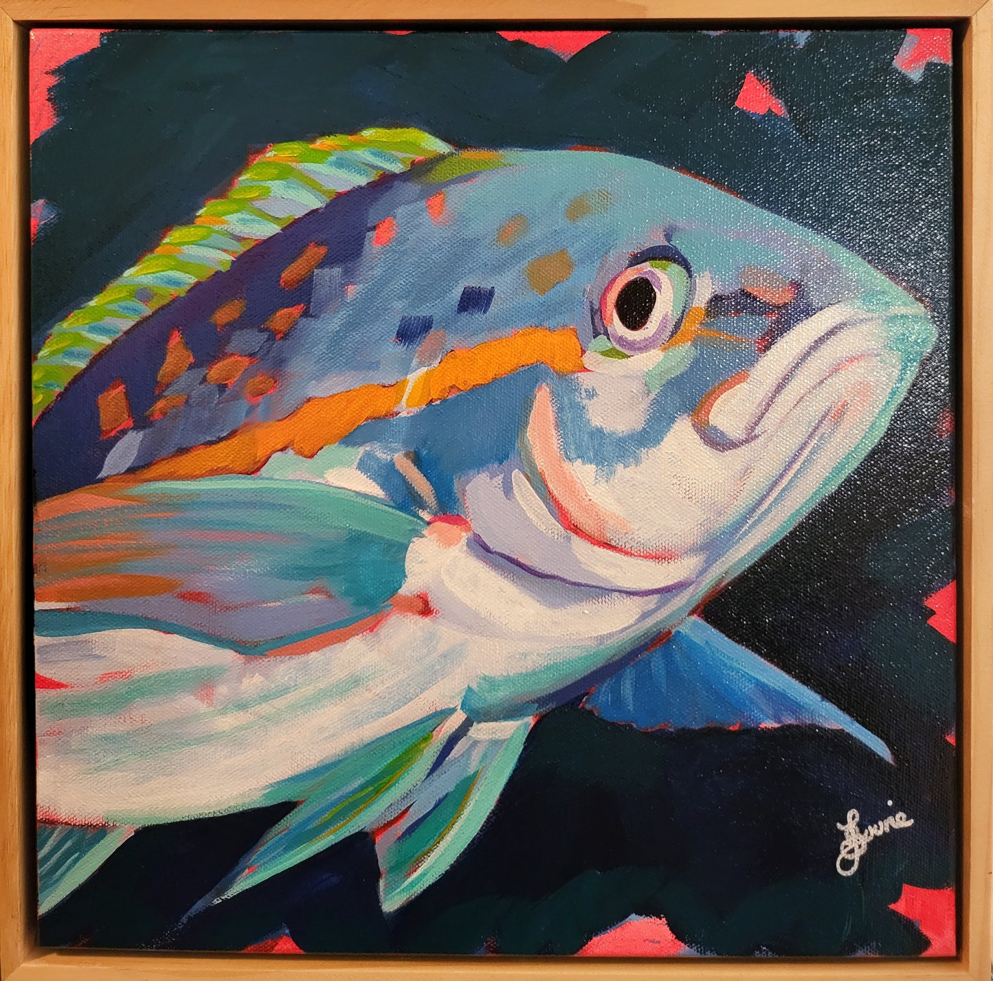 Yellowtail Snapper - Sea Life Series