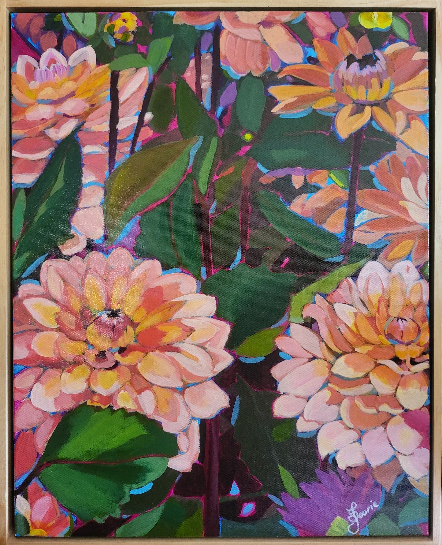 Marjorie Joy - Dahlias
