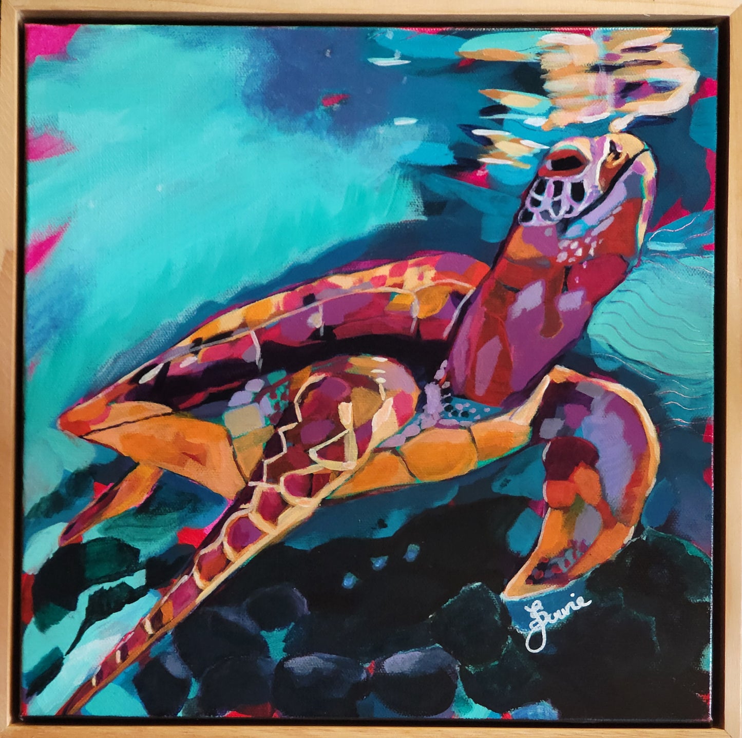 The Beauty of a Sea Turtle - Sea Life Series