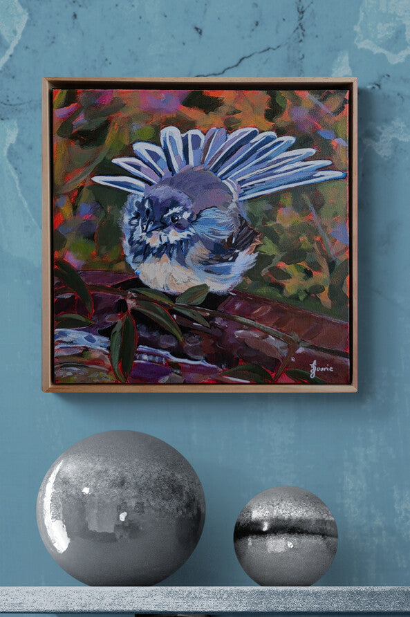 Grey Fantail - Bird Collection