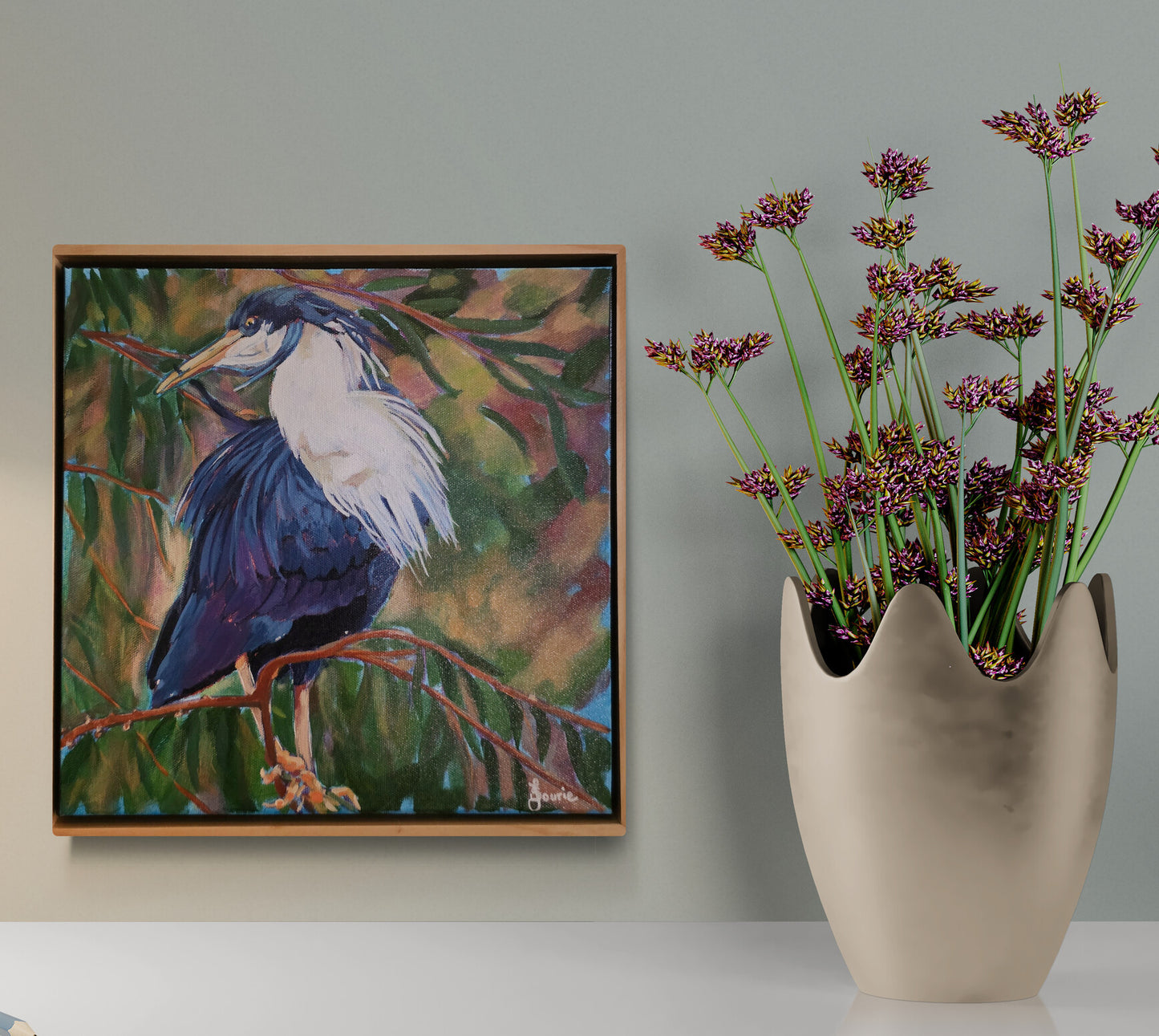 Pied Heron - Bird Collection