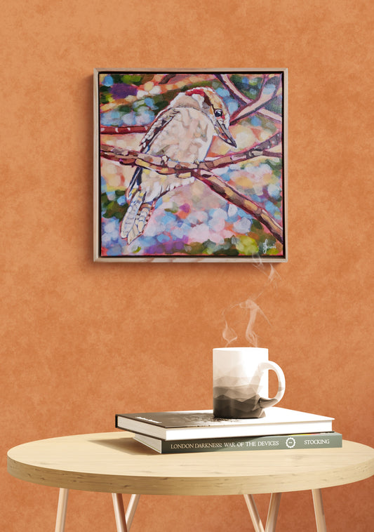 Kookaburra  - Bird Collection